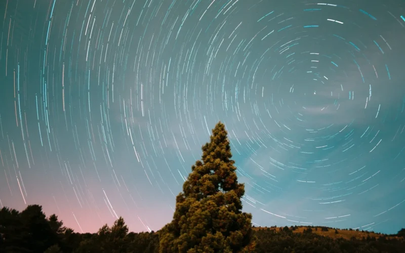 long exposure photography of stars and pine tree
