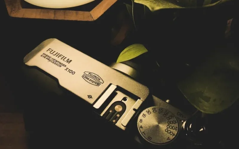 green plant on white ceramic vase