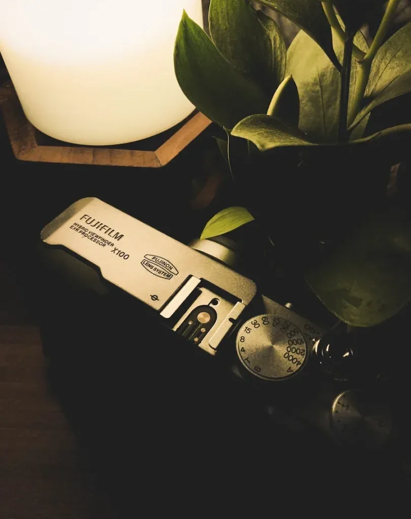 green plant on white ceramic vase