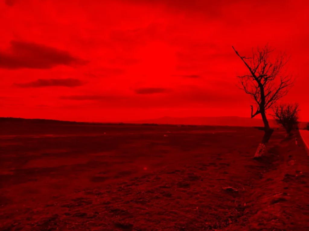 a red sky with a lone tree in the foreground