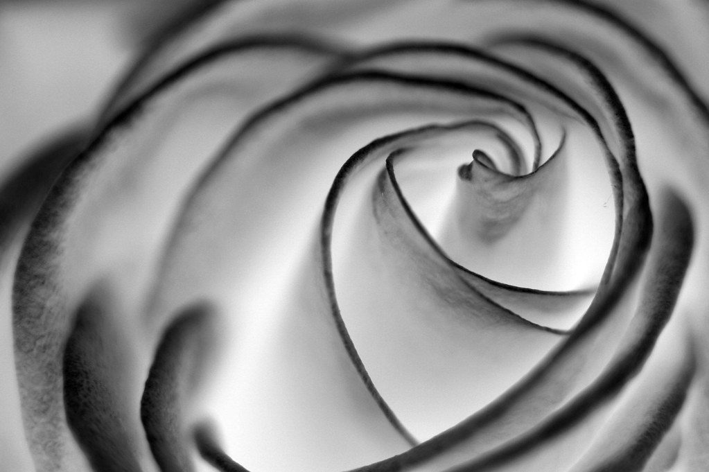 Katta tukli anusning yaqin fotosuratini koring